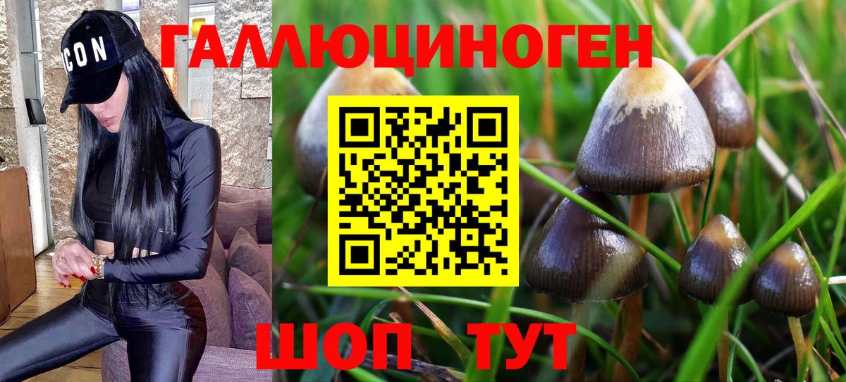Псилоцибиновые грибы Magic Shrooms  Псилоцибиновые грибы MAGIC MUSHROOMS  Кубинка  Вход с VPN 